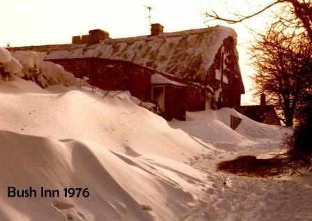 bushsnow1976