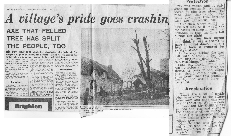 Tree felling 1967