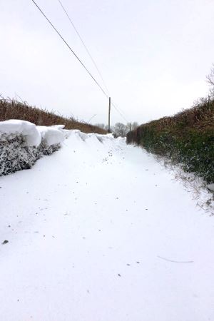 BeastFromTheEastRoadBlocked