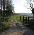 coedhillsfarmdrive