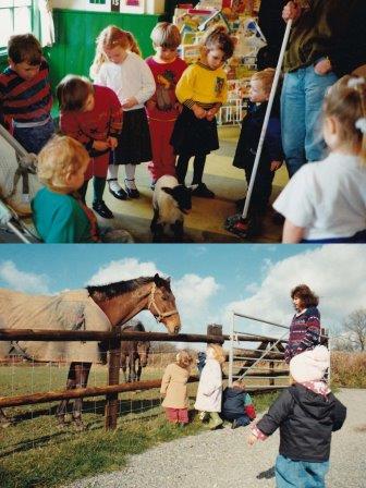 lamb in playgroup